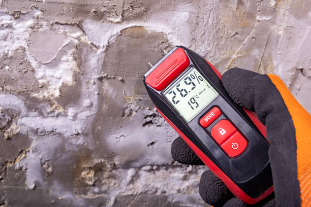Best Mold Testing  in Port Hueneme, CA